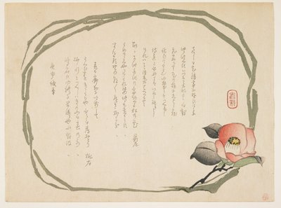 Camelia, gennaio 1860 da Kasai